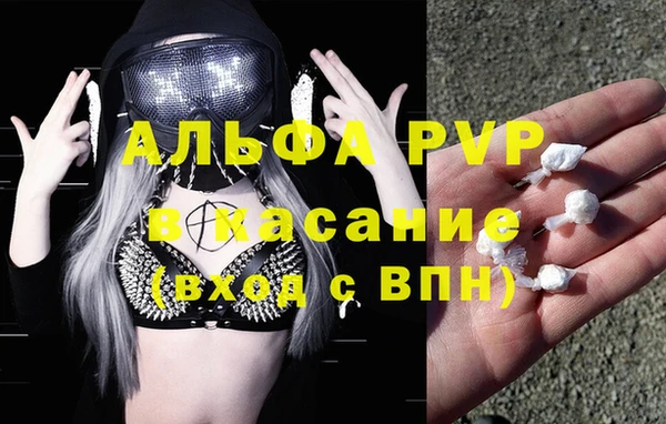 СК Бронницы