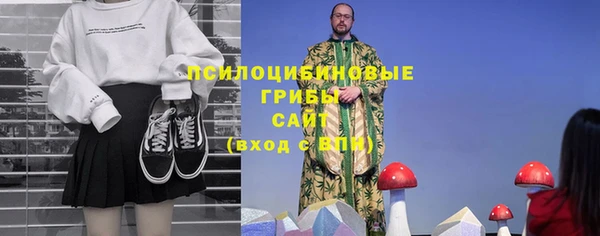 трава Бородино