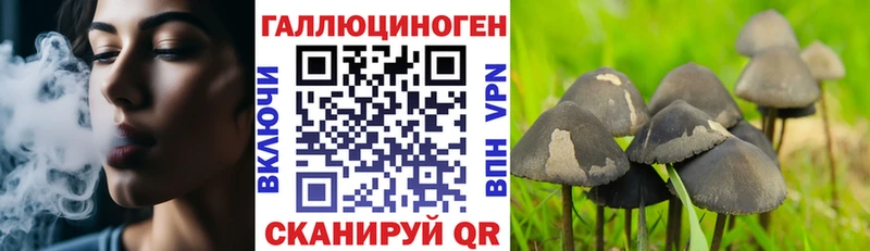 Галлюциногенные грибы прущие грибы  Купить где  Нальчик 