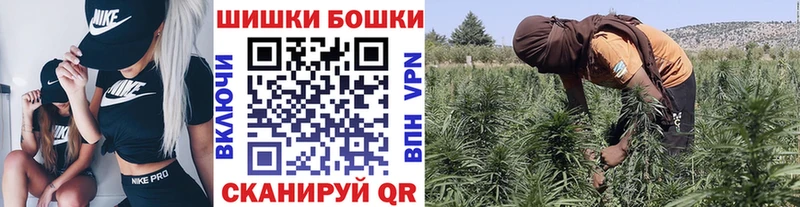 Купить где  Нальчик  Конопля ГИДРОПОН 